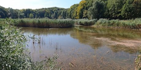 Sovsko jezero - 3