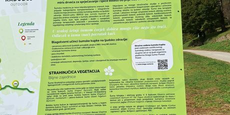 Šumska kupka na Strahinjčici - 6