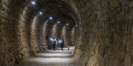 Istria Wine&Walk - 5