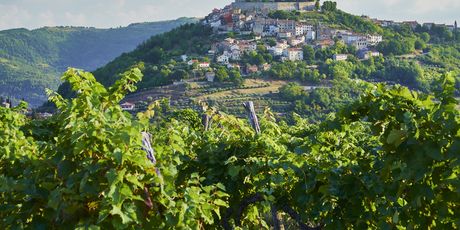 Motovun
