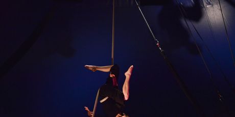 Festival ArteNativa - 1