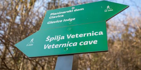 Noć šišmiša u PP Medvedica - 4