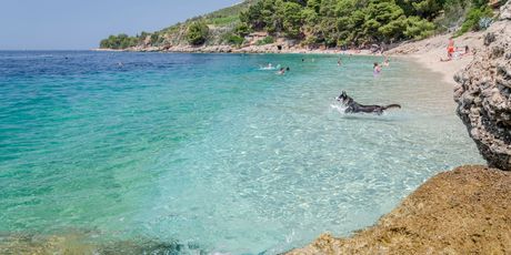Plaža Murvica - 3
