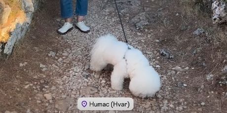 Nina Badrić i majka Mila - 1