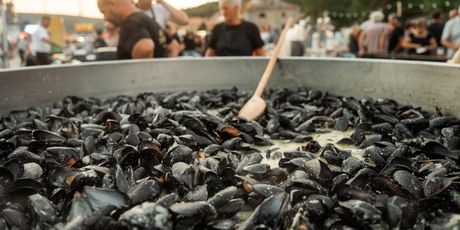 Ribarska fešta na Porte - 10