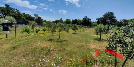 Vila u okolici Svetvinčenta