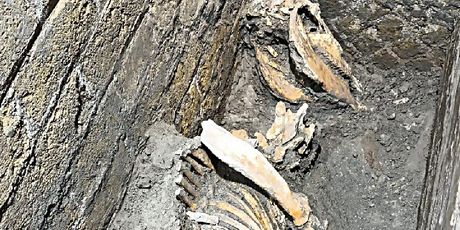 Novi dokazi upućuju da su se neki vratili u Pompeje nakon erupcije Vezuva