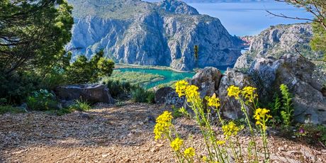 Cetina - 2