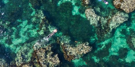 Rottnest - 4