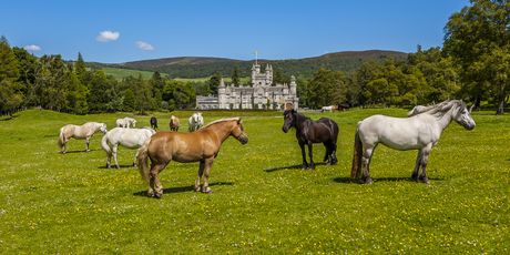 Balmoral - 2