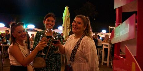 Vinski grad - 5