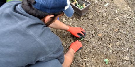 In Magazin: Skrivene strasti poznatih - 7