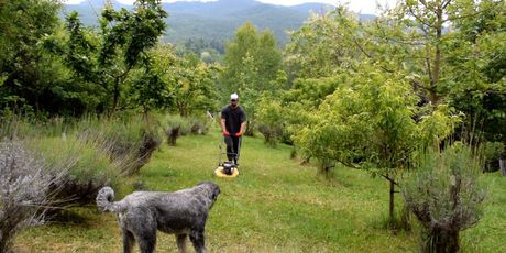 In Magazin: Skrivene strasti poznatih - 9