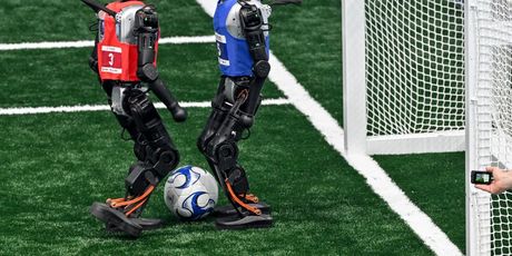 Svjetske igre humanoidnih robota - 2