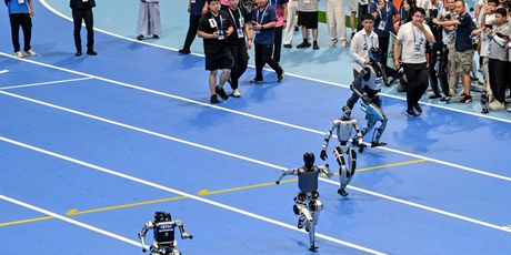 Svjetske igre humanoidnih robota - 3