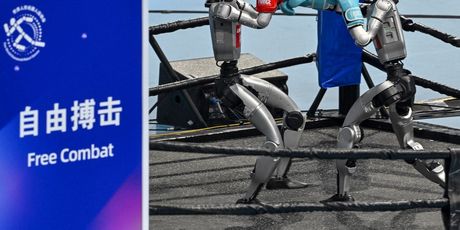 Svjetske igre humanoidnih robota - 4