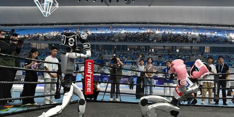 Svjetske igre humanoidnih robota - 5