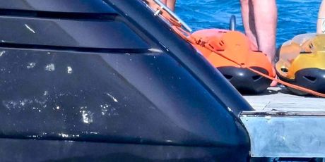 Paul Michael Levesque i Stephanie McMahon - 3