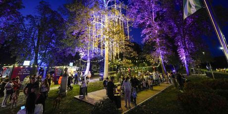 The Flying Dish Festival - 19