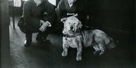 Hachiko - 1