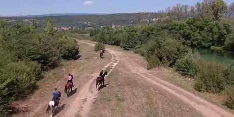 In Magazin: Alkarica Katarina - 5