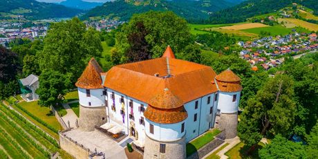 Sevnica