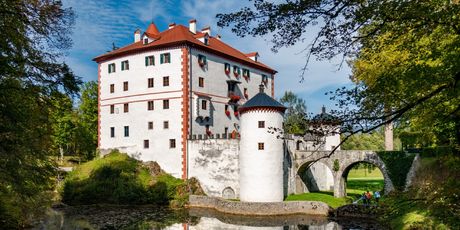 Snežnik