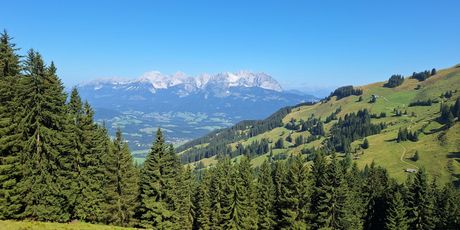 Highlander Austria - 2