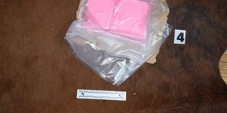 Međunarodna akcija Senia - 1