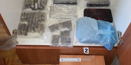 Međunarodna akcija Senia - 2