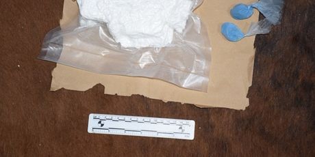 Međunarodna akcija Senia - 3