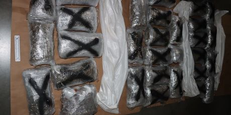 Međunarodna akcija Senia - 4