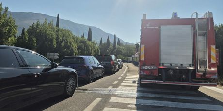 Gužva u Konavlama