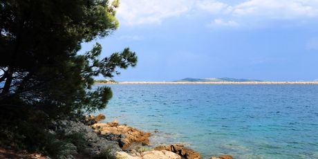 Veli Rat - 5