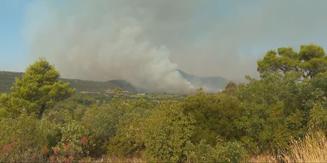 Požar na Pelješcu - 3