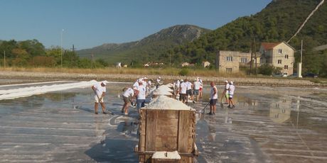 Berba soli u Stonu - 3