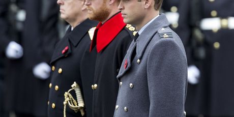 Princ William i princ Harry - 2