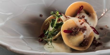 Cappellacci krvavica i zelena jabuka