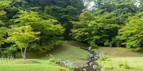 Hiraizumi - 3