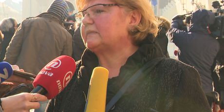 Ministrica za demografiju Nada Murganić (Foto: Dnevnik.hr)