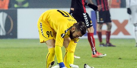 Pas na travnjaku Europske lige (Foto: AFP)