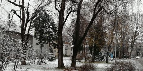 Snijeg u Zagrebu (Foto: Dnevnik.hr) - 3