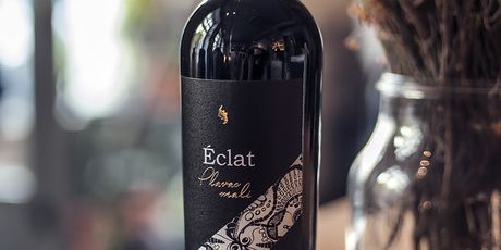 Vinolog - 3