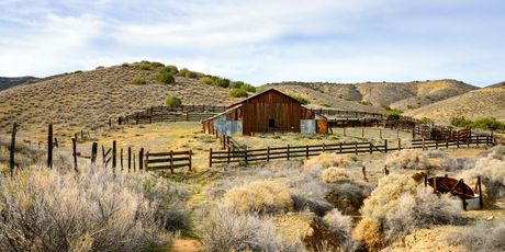 Carizzo Plain - 4