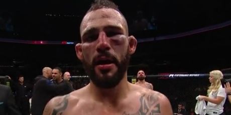 Unakaženo lice Ponzinibbija