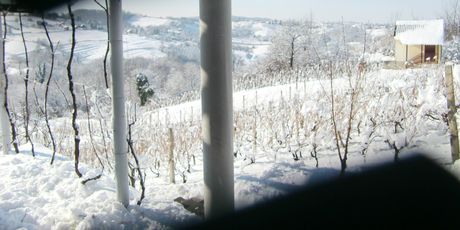 Prirodno okruženje Varaždinskih Toplica