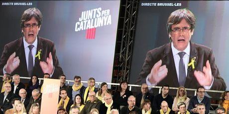 Carles Puigdemont izbore čeka u Belgiji (Foto: AFP)