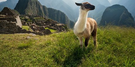 Peru - 1