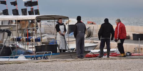 Hrvatski ribari u Savudriji nakon povratka iz ribolova (Foto: Dusko Marusic/PIXSELL