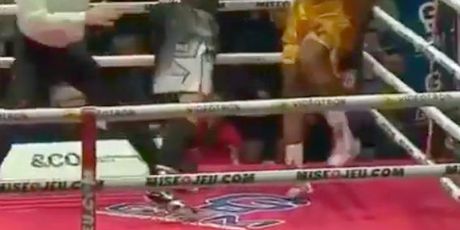 Oleksandr Gvozdyko i Adonis Stevenson